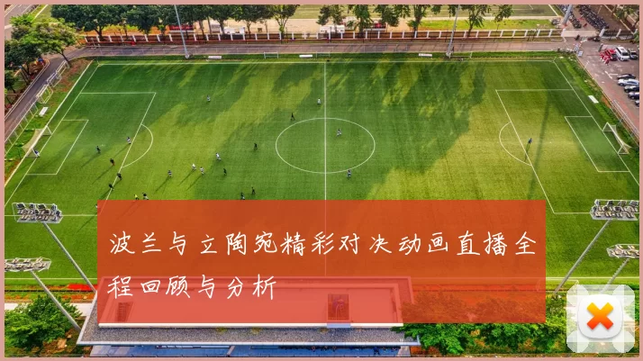 波兰与立陶宛精彩对决动画直播全程回顾与分析